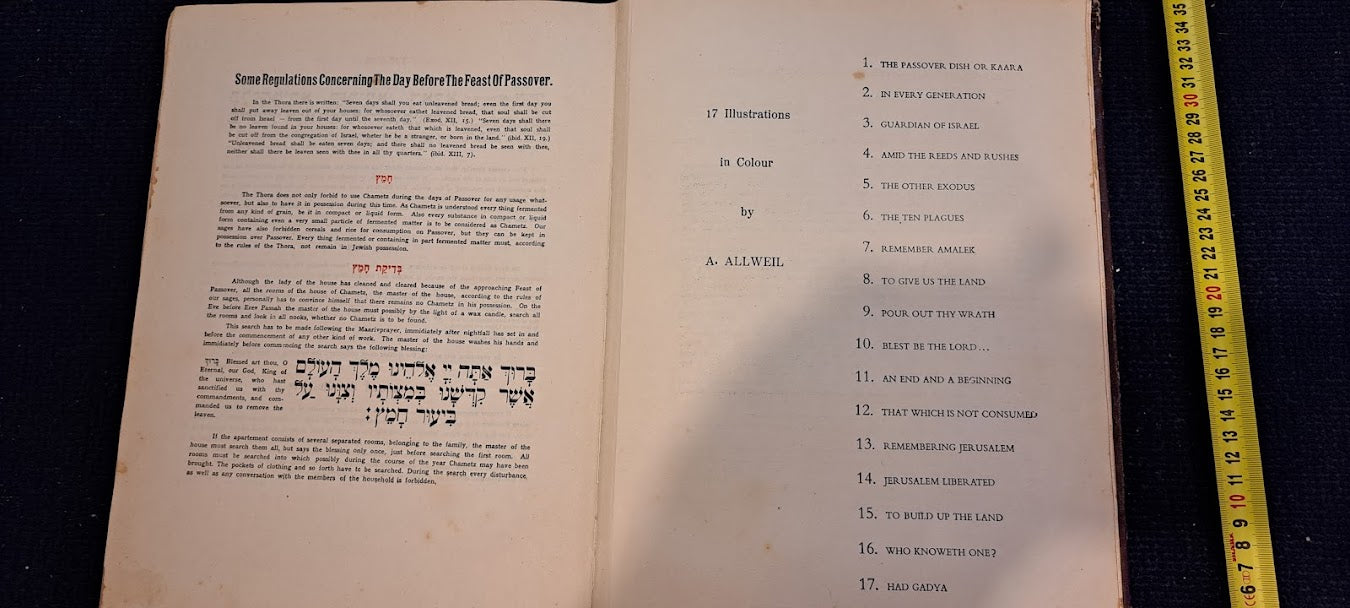 Haggadah (Jewish ritual) Passover 1955 [BOK10157]