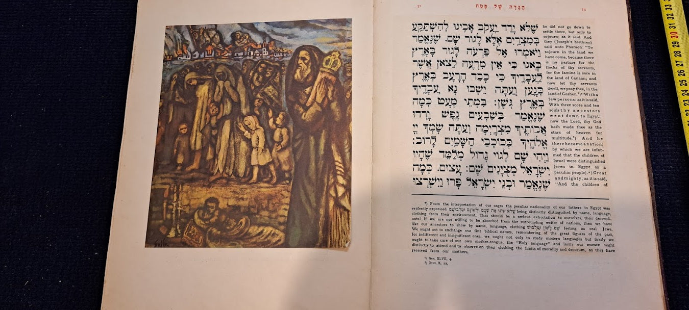Haggadah (Jewish ritual) Passover 1955 [BOK10157]