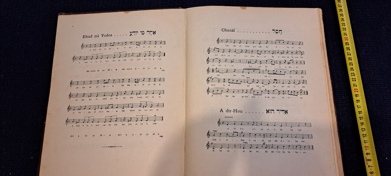Haggadah (Jewish ritual) Passover 1955 [BOK10157]