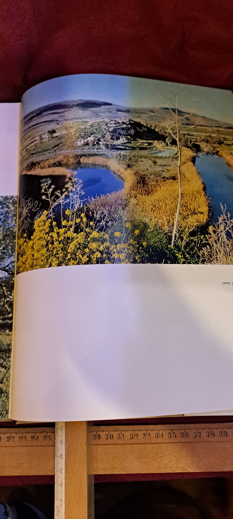 Israel 10 years album [BOK10163]