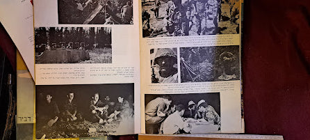 Jerusalem of the Paratroopers IDF album [BOK10182]