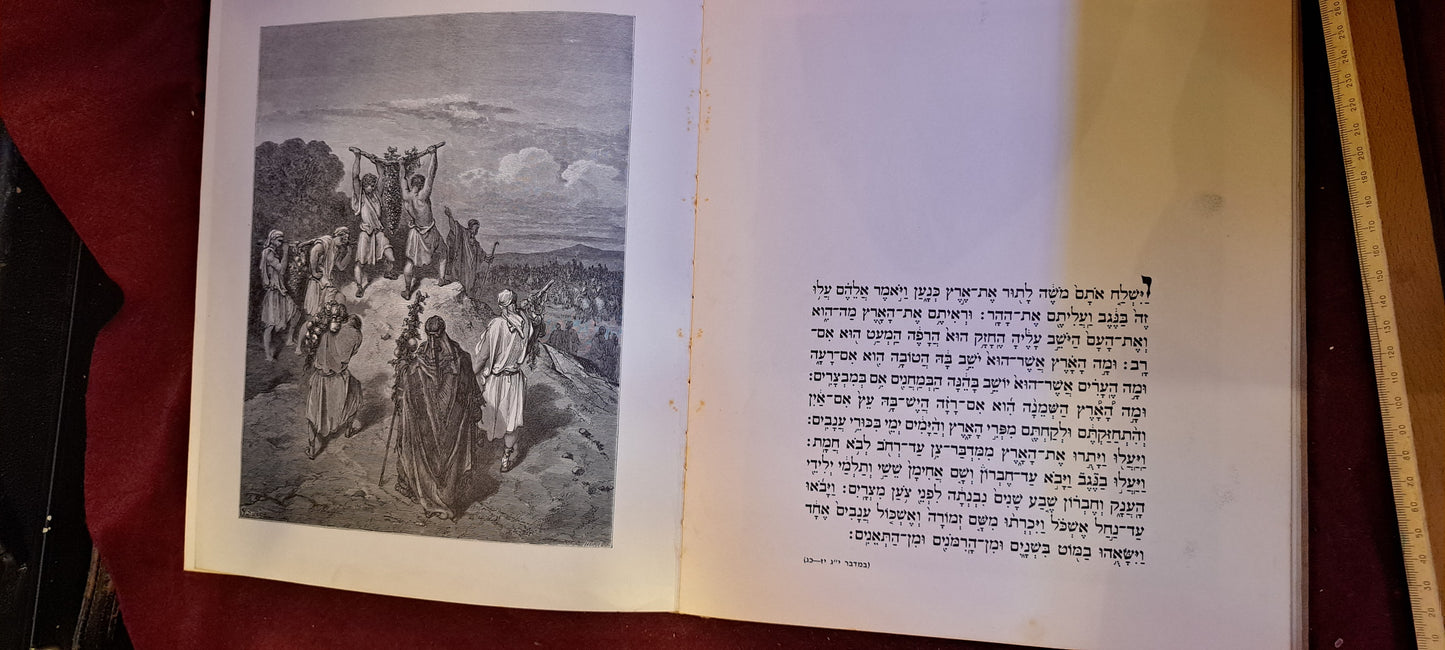 Biblical illustrations Gustave Doré Hebrew [BOK10203]