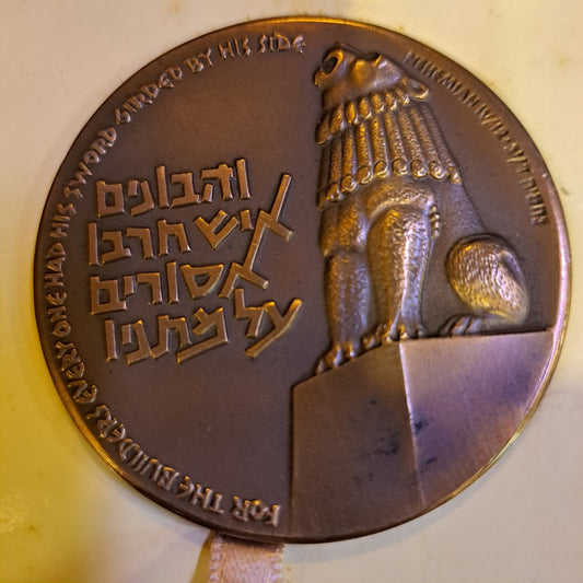 Israel bronze medal state for valour [ISR10141]