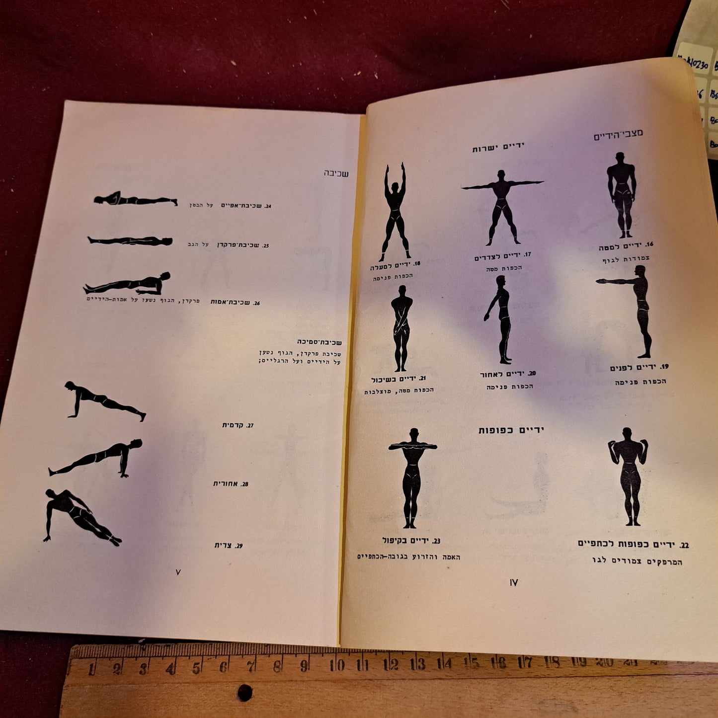 IDF 1957 physical fitness [BOK10224]