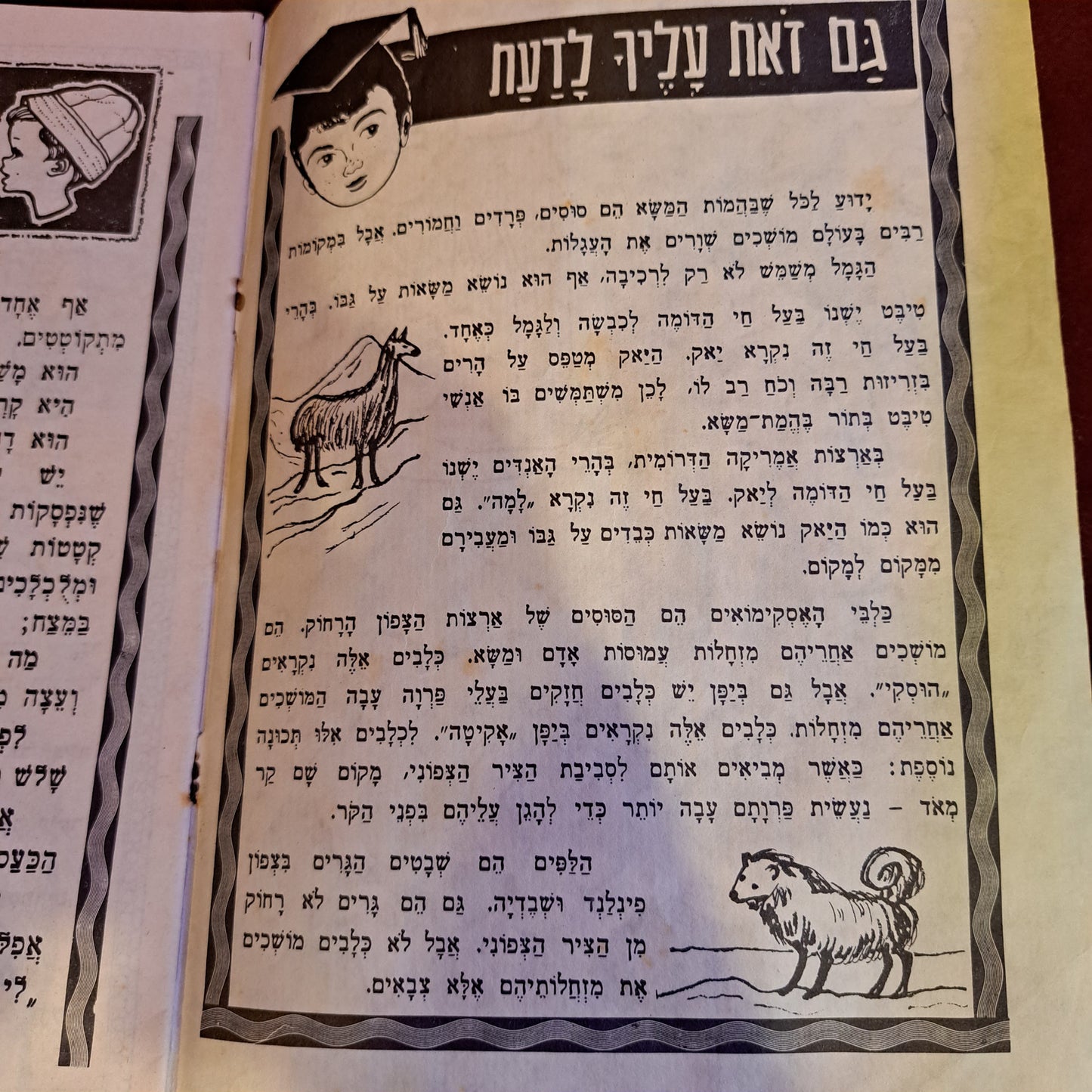 Fingerling  אצבעוניHebrew booklet [BOK10225]