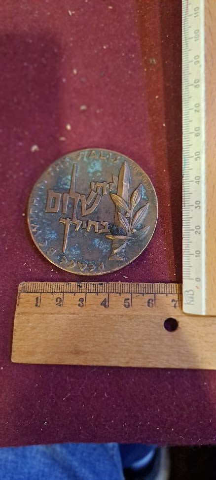 Israel bronze meda remembrance IDF day medal 1959 [ISR10152]
