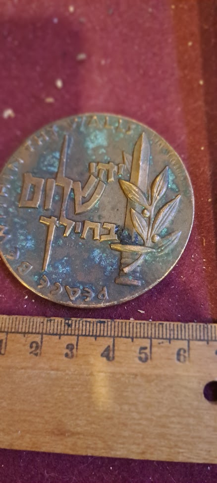 Israel bronze meda remembrance IDF day medal 1959 [ISR10152]