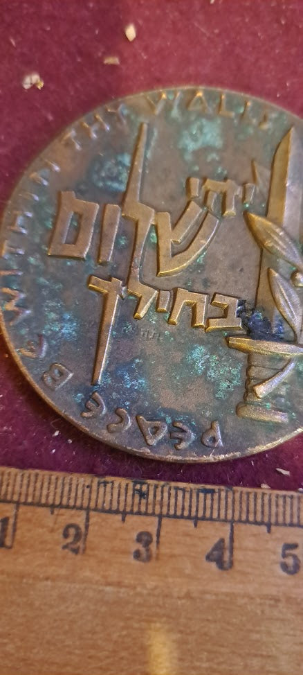 Israel bronze meda remembrance IDF day medal 1959 [ISR10152]