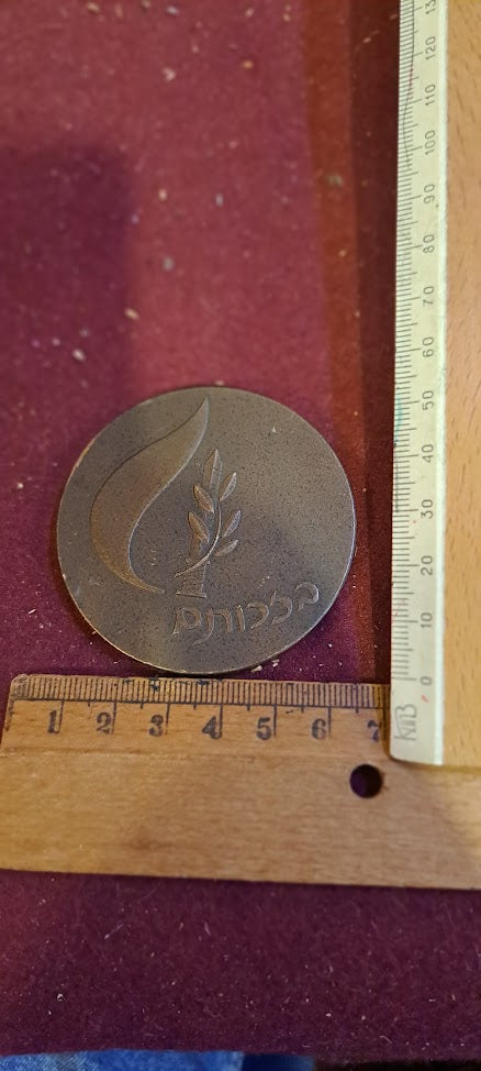 Israel bronze meda - remembrance IDF day medal 1995 [ISR10151]