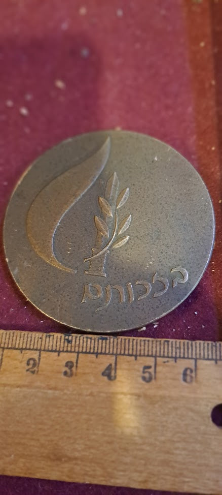 Israel bronze meda - remembrance IDF day medal 1995 [ISR10151]