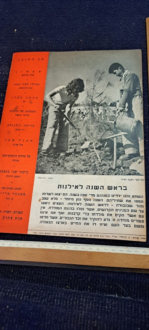 Israel DAVR HASHAVUA rare weeky newspaper during 1948 [BOK10270]