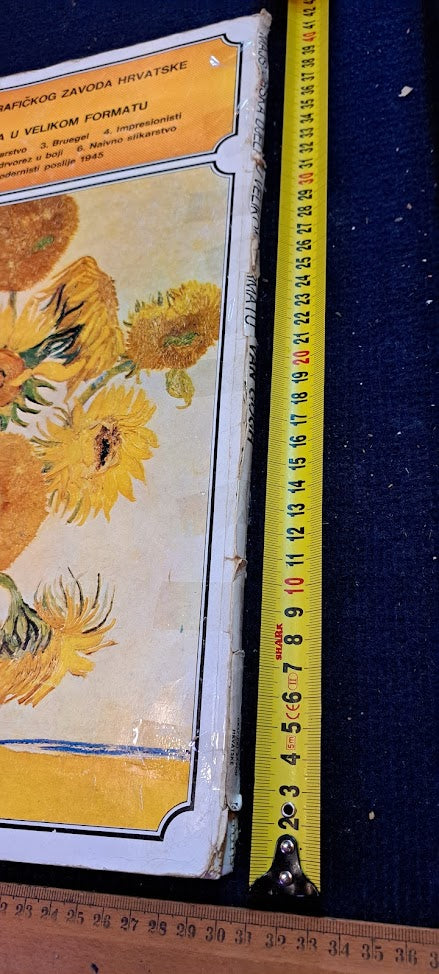 Van Gogh Famous Paintings Album [BOK10293]