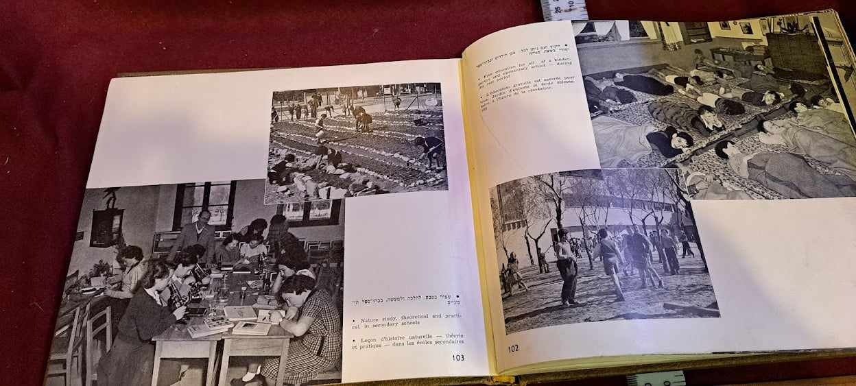 Government in Israel 1952 album [BOK10311]
