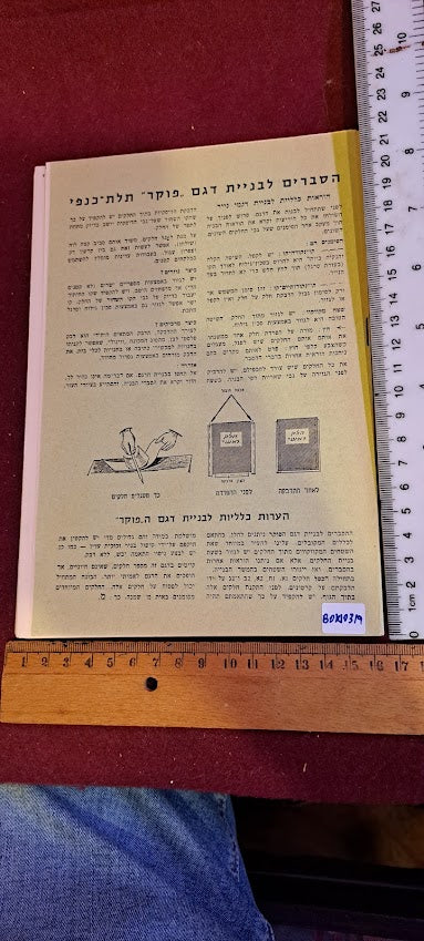 Old Cardboard Airplane Model for Assembly - Pokker [BOK10319]