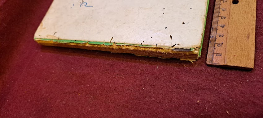 Hebrew Bible in pictures 1960 [JUD10184]