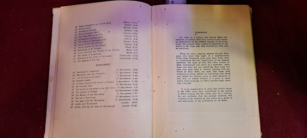 Hebrew Bible in pictures 1960 [JUD10184]