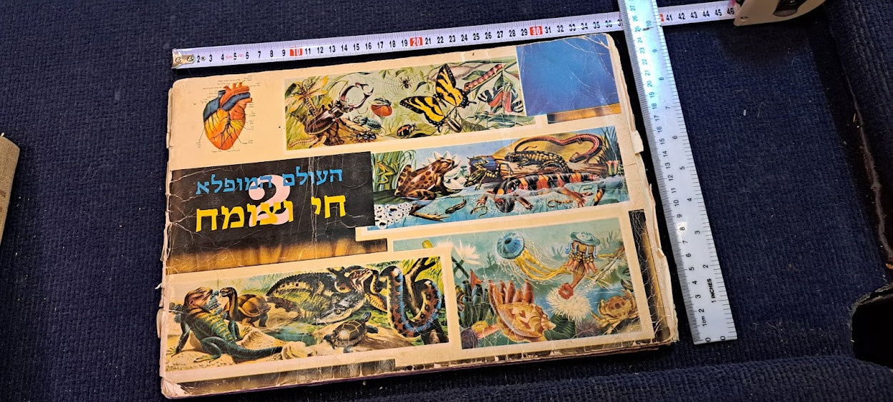 Stickers old Album - Flora and fauna Hebrew [BOK10351]