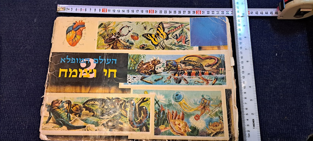 Stickers old Album - Flora and fauna Hebrew [BOK10351]