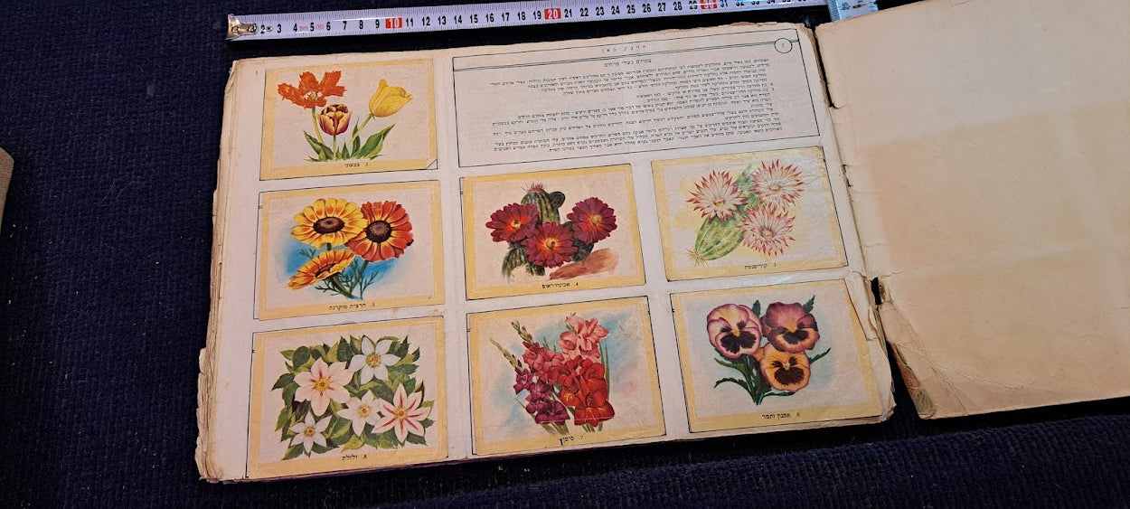 Stickers old Album - Flora and fauna Hebrew [BOK10351]