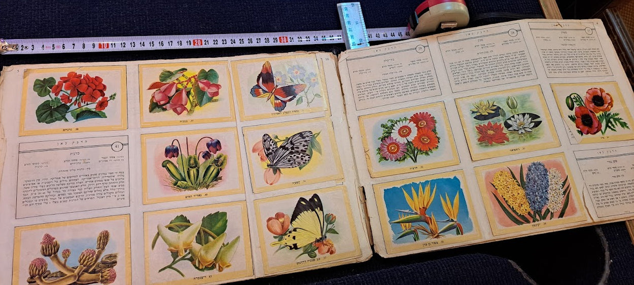 Stickers old Album - Flora and fauna Hebrew [BOK10351]
