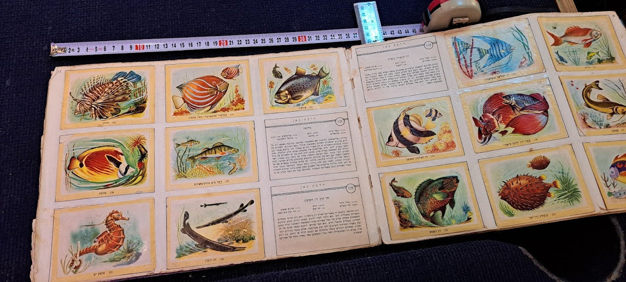 Stickers old Album - Flora and fauna Hebrew [BOK10351]