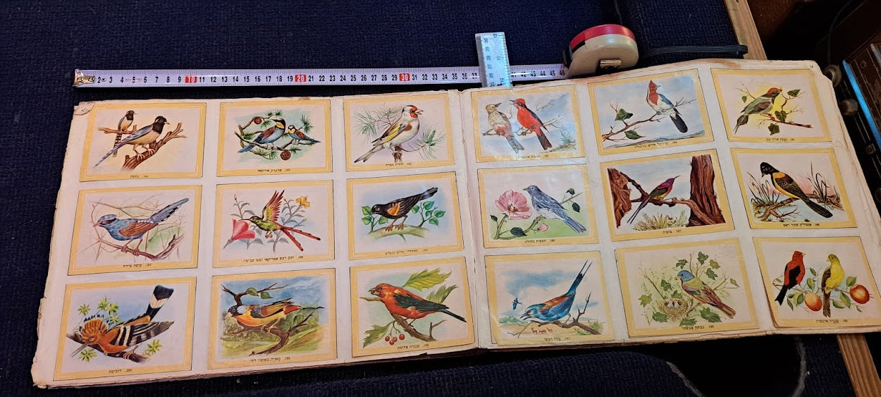 Stickers old Album - Flora and fauna Hebrew [BOK10351]