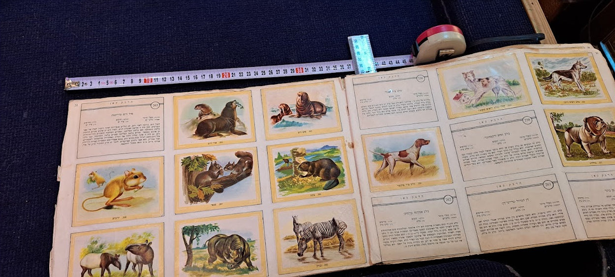 Stickers old Album - Flora and fauna Hebrew [BOK10351]