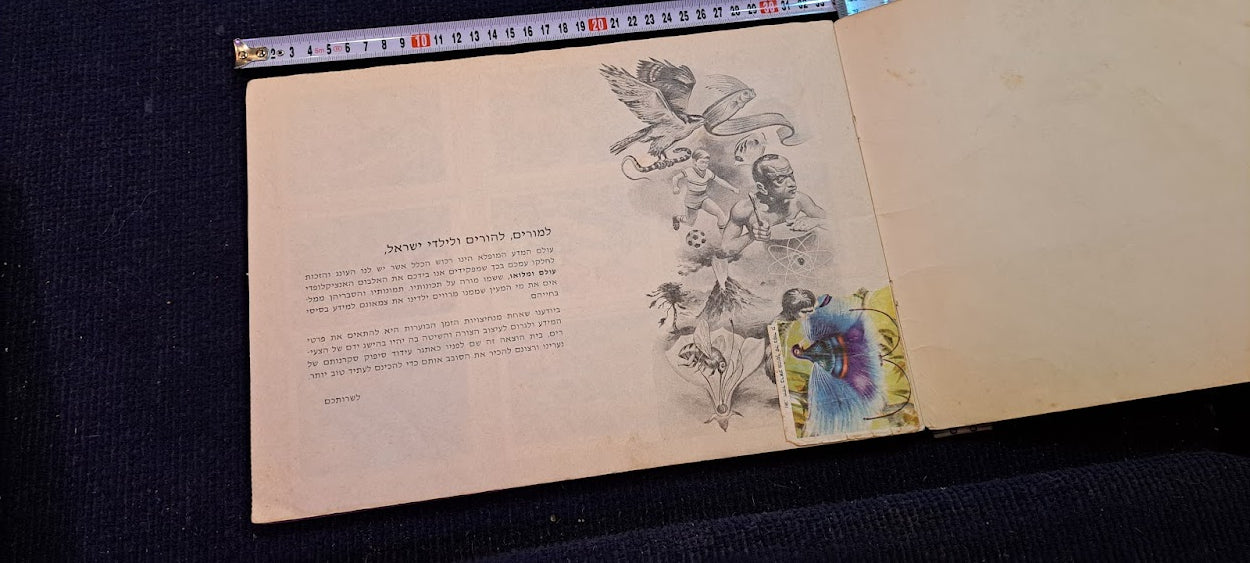 Stickers old Album - whole wide world Hebrew [BOK10350]