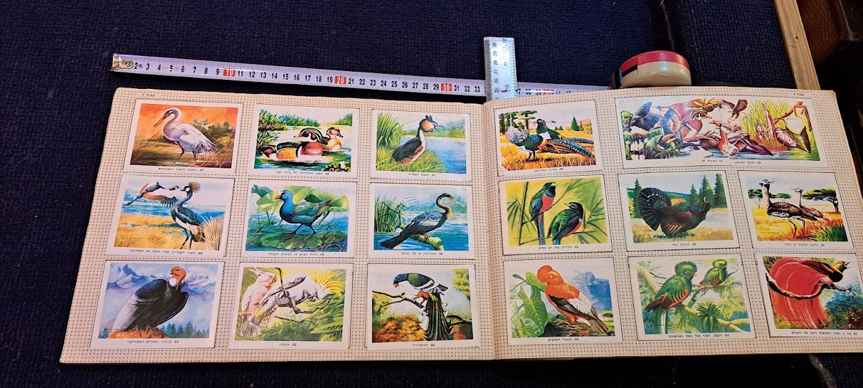 Stickers old Album - whole wide world Hebrew [BOK10350]