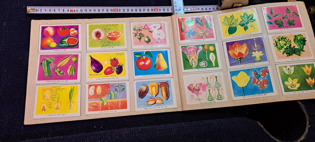 Stickers old Album - whole wide world Hebrew [BOK10350]