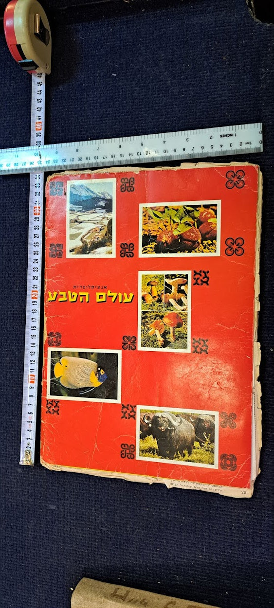 Stickers old Album - Natural World Hebrew [BOK10349]