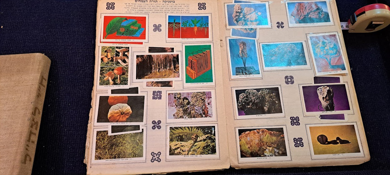 Stickers old Album - Natural World Hebrew [BOK10349]