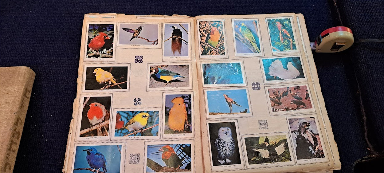 Stickers old Album - Natural World Hebrew [BOK10349]