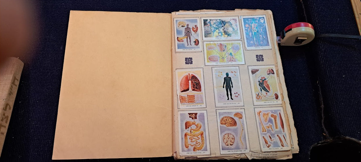 Stickers old Album - Natural World Hebrew [BOK10349]