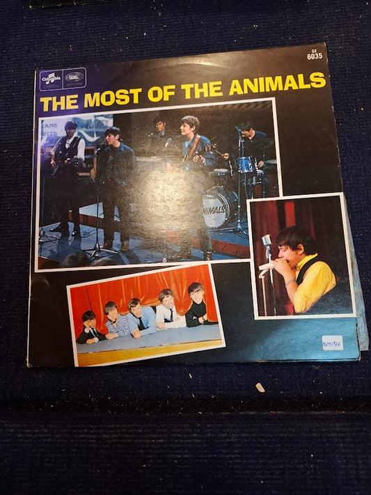 The most of the animals, record [ENT10516]
