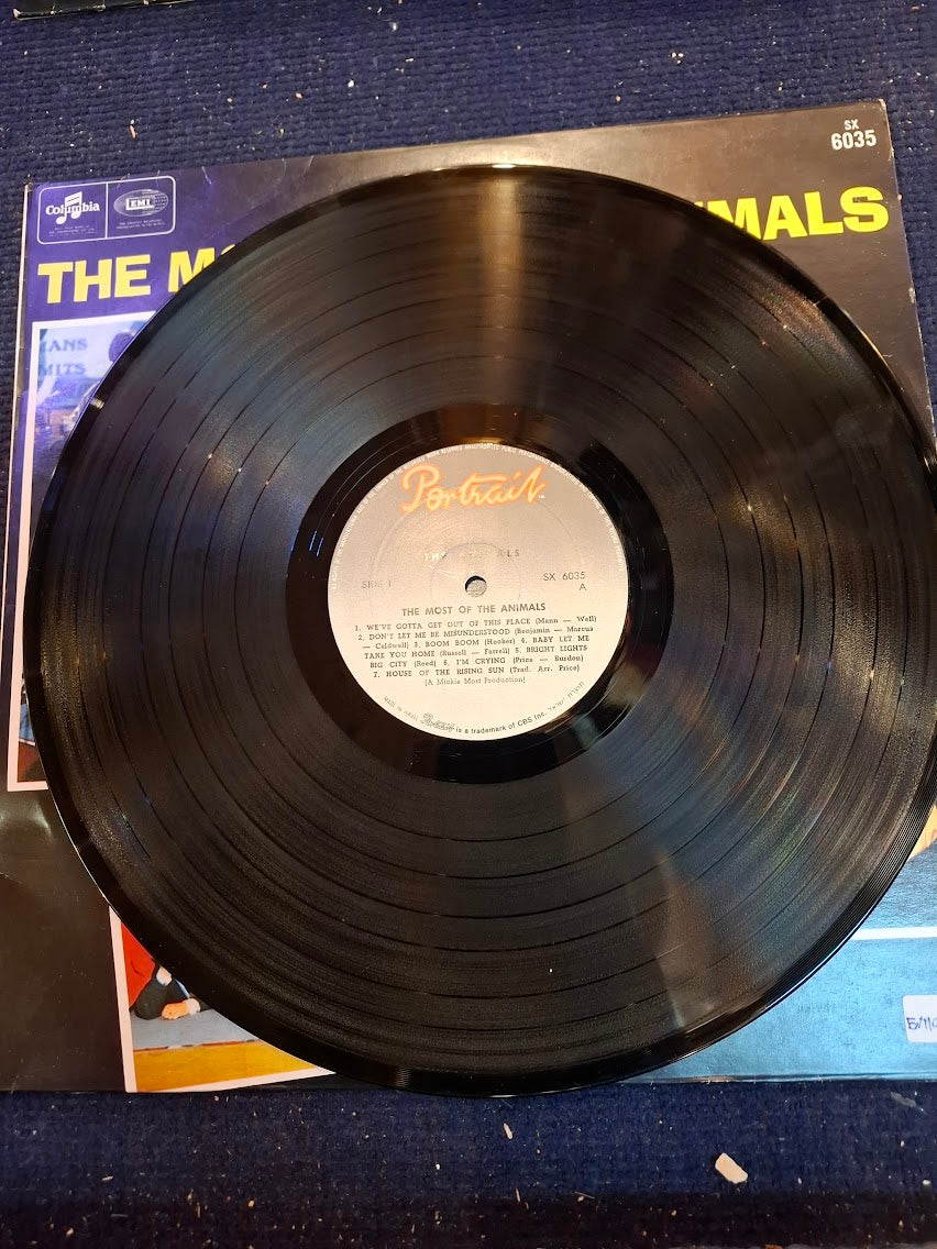 The most of the animals, record [ENT10516]