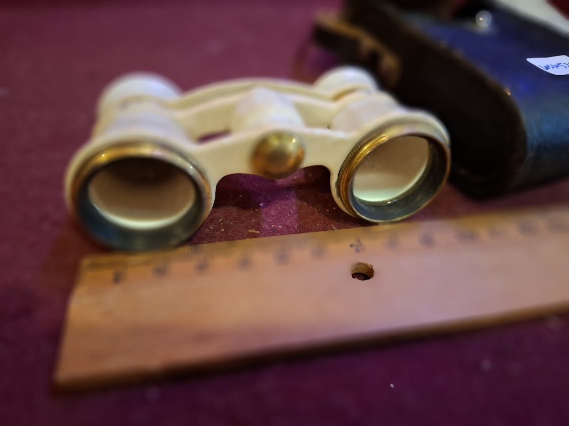 Vintage Theater Binoculars [INS10525]