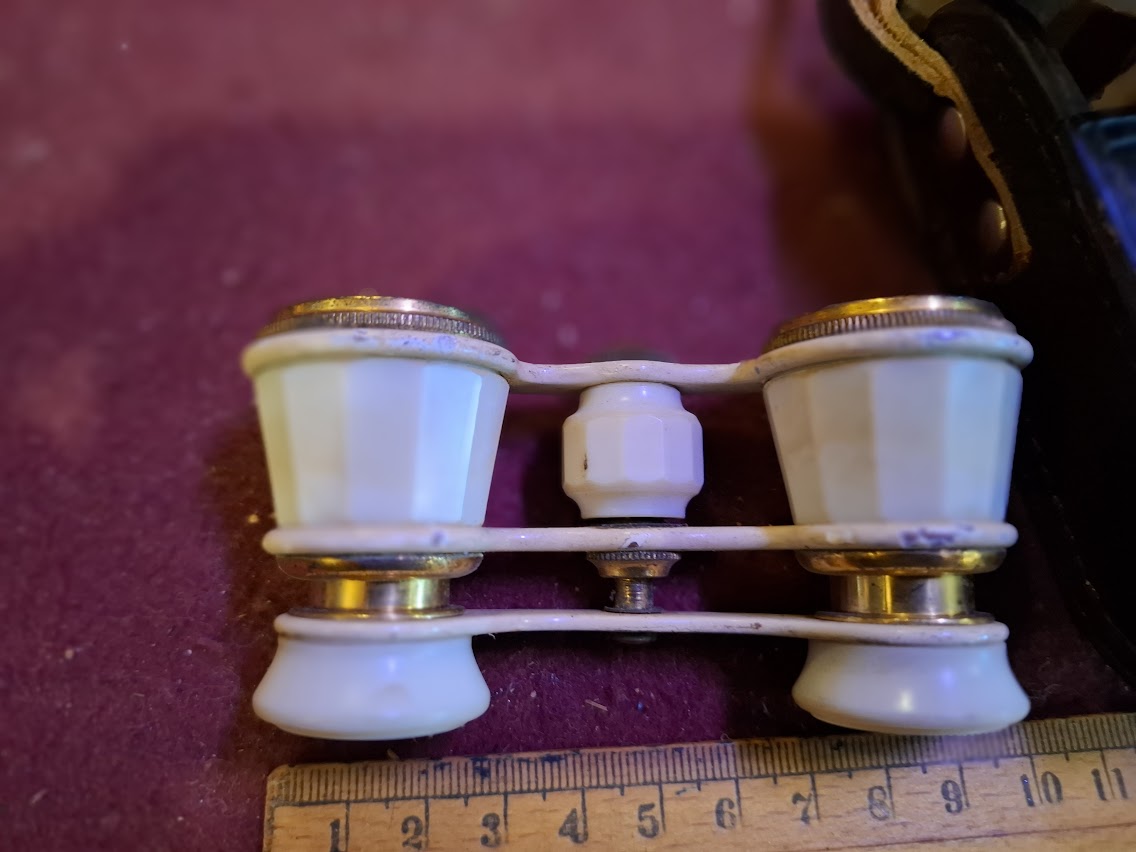 Vintage Theater Binoculars [INS10525]