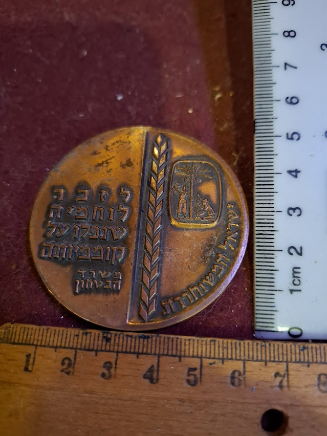 Israel bronze meda - Memorial Day, Fallen Soldiers, Independence day 1963 [ISR10215]