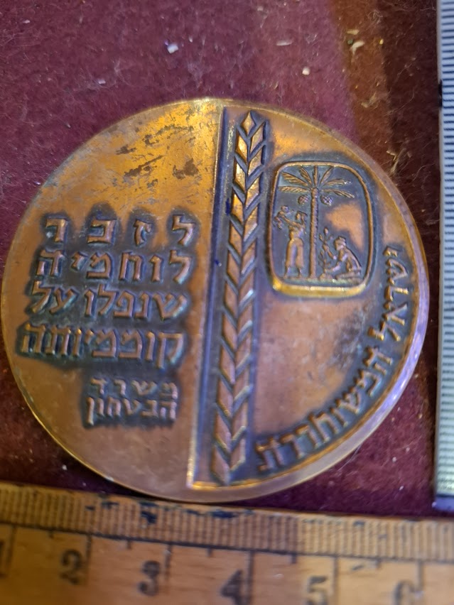 Israel bronze meda - Memorial Day, Fallen Soldiers, Independence day 1963 [ISR10215]