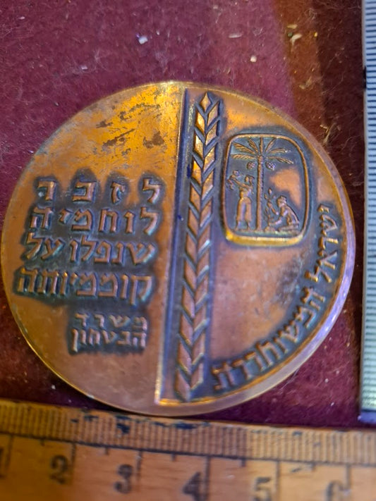 Israel bronze meda - Memorial Day, Fallen Soldiers, Independence day 1963 [ISR10215]