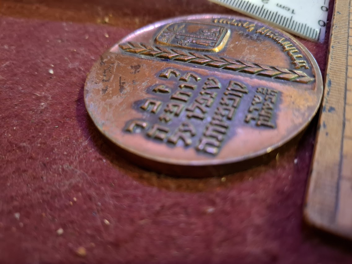 Israel bronze meda - Memorial Day, Fallen Soldiers, Independence day 1963 [ISR10215]