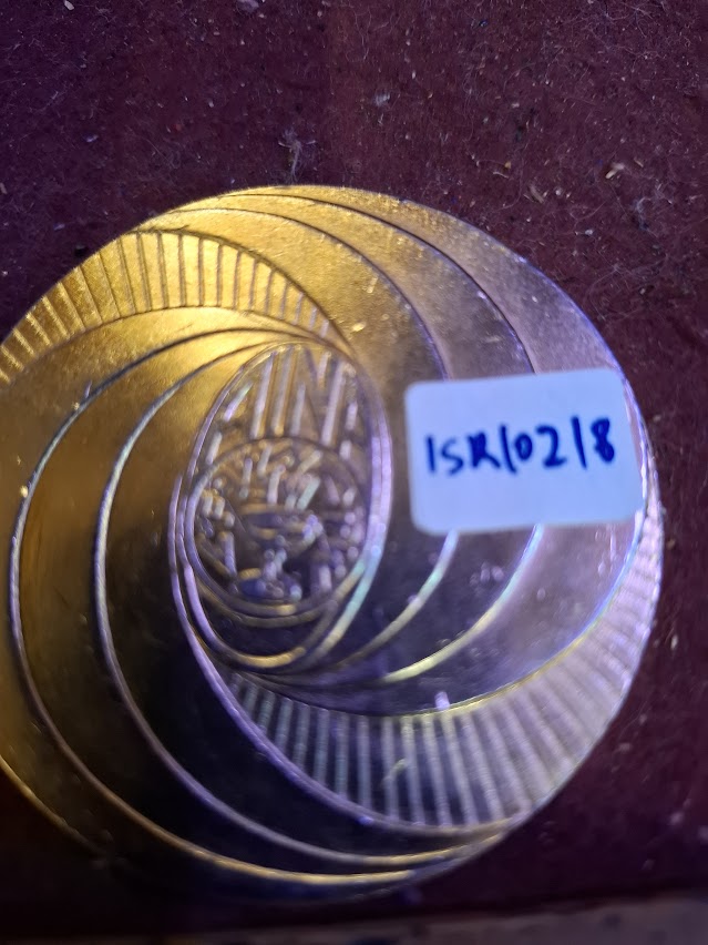 Israel bronza medal - 10th anniv. AINA Numismatic assoc. [ISR10218]