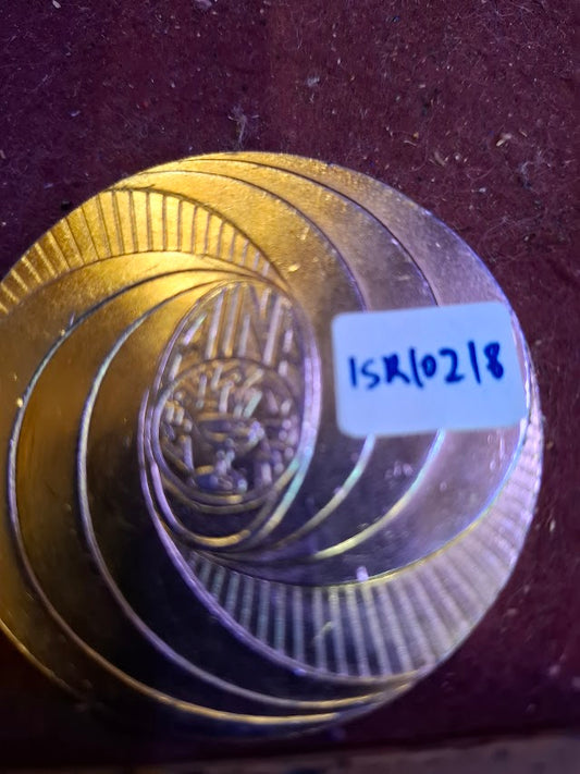 Israel bronza medal - 10th anniv. AINA Numismatic assoc. [ISR10218]