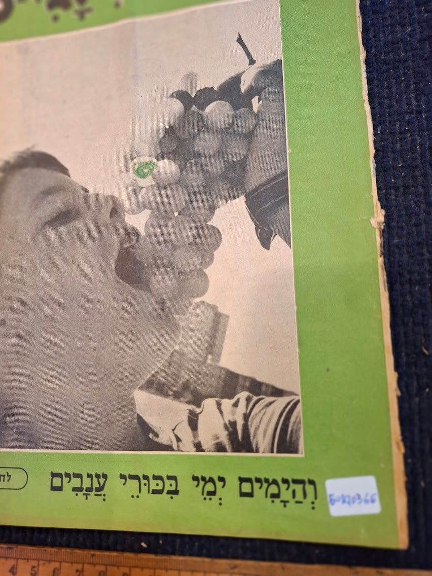 Vintage DHAVAR for Children, Hebrew booklet 1968 [BOK10366]