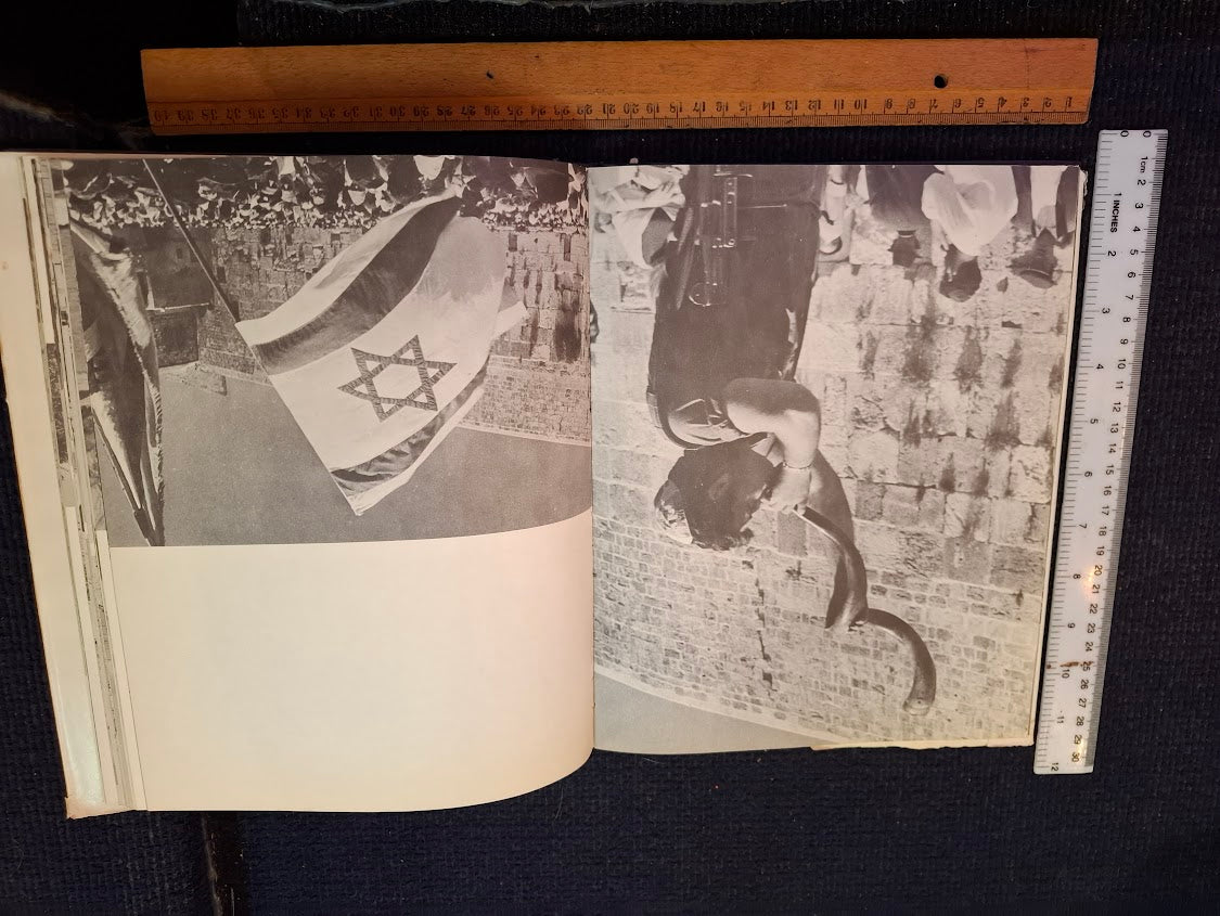 The heroes of the IDF Hebrew book 1967 [BOK10435]