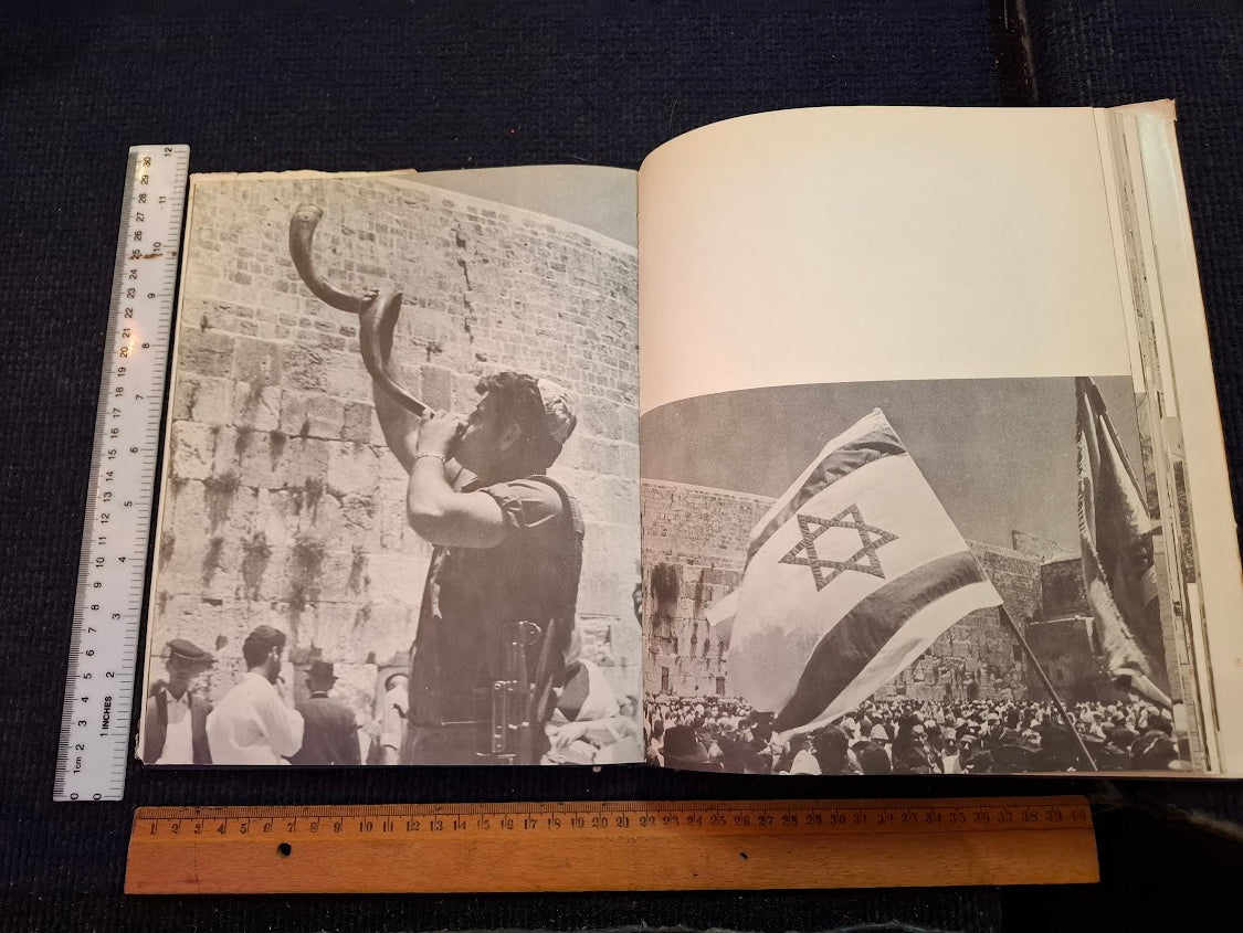 The heroes of the IDF Hebrew book 1967 [BOK10435]