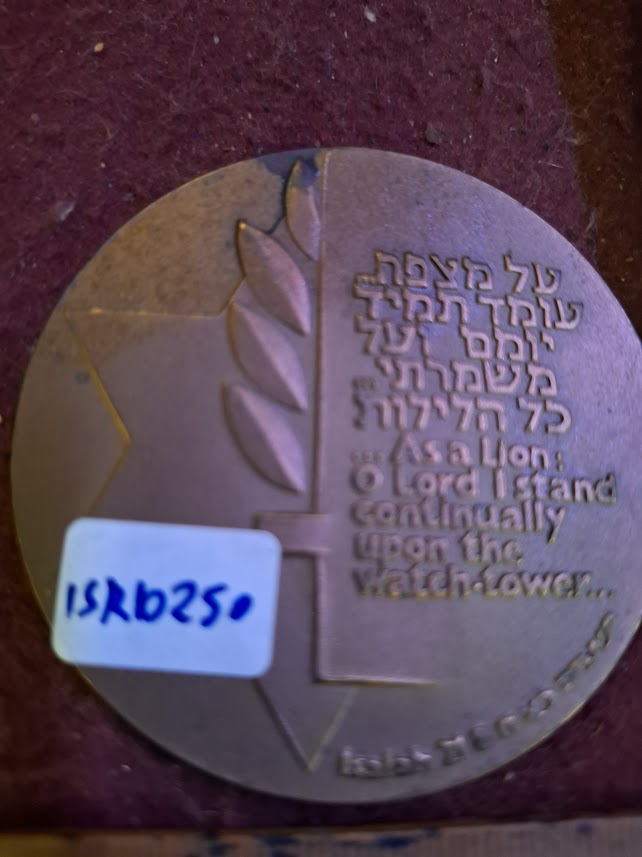 Israel bronza medal - Soldiers' welfare ass. 1987 [ISR10250]