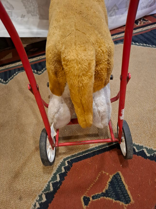 Vintage dog on wheels toy - RARE [GAM10340]