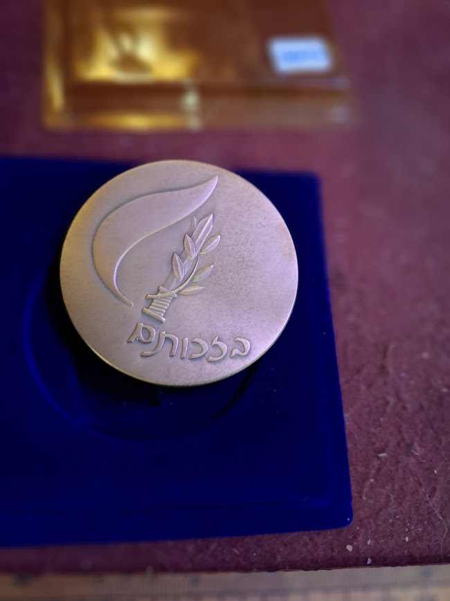 Israel bronza medal - Memorial Day for Israel's Fallen Soldiers 1993 [ISR10230]